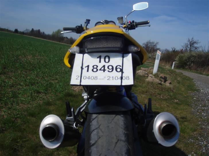 Ducati monster s4 916 - Termignoni er det eneste rigtige til en monster - de passer perfekt til designet. billede 13