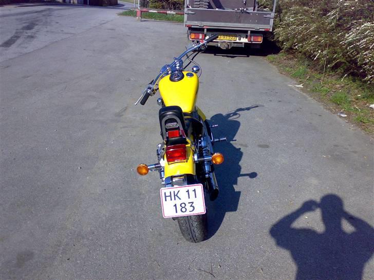 Suzuki savage ls billede 8