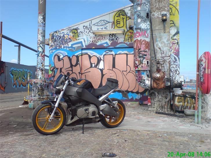 Buell [Corner-Cruiser] xb12s billede 11