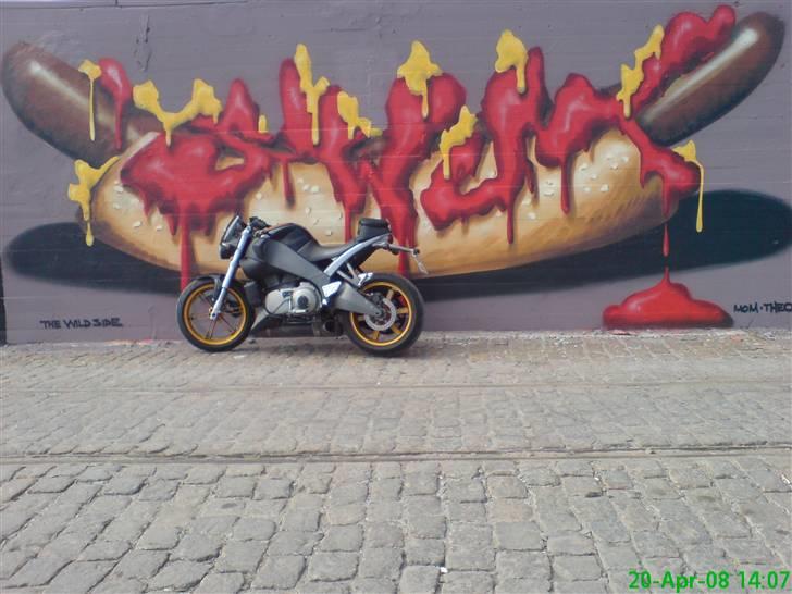 Buell [Corner-Cruiser] xb12s billede 12