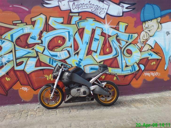 Buell [Corner-Cruiser] xb12s billede 13