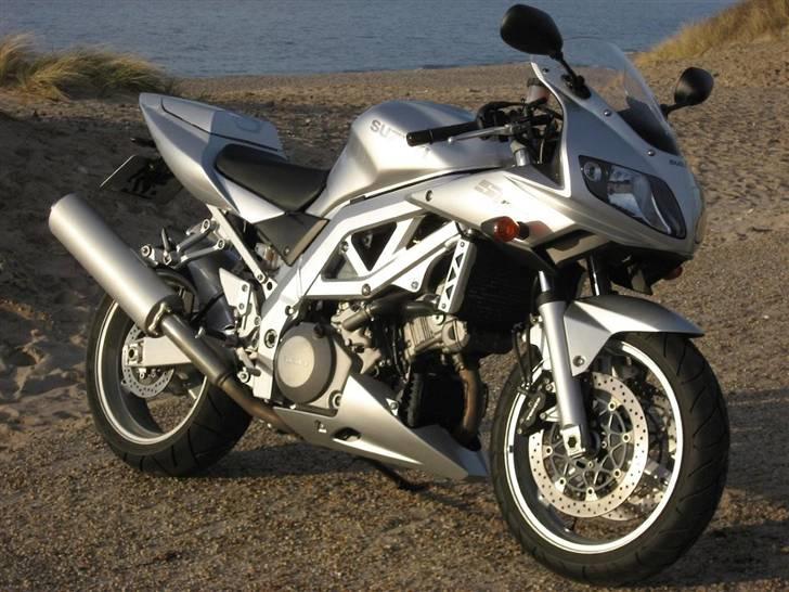 Suzuki SV1000S billede 1
