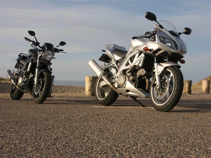 Suzuki SV1000S billede 2