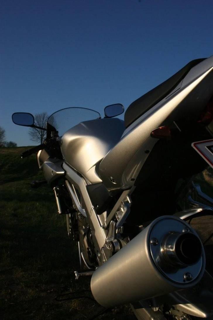 Suzuki SV1000S billede 3