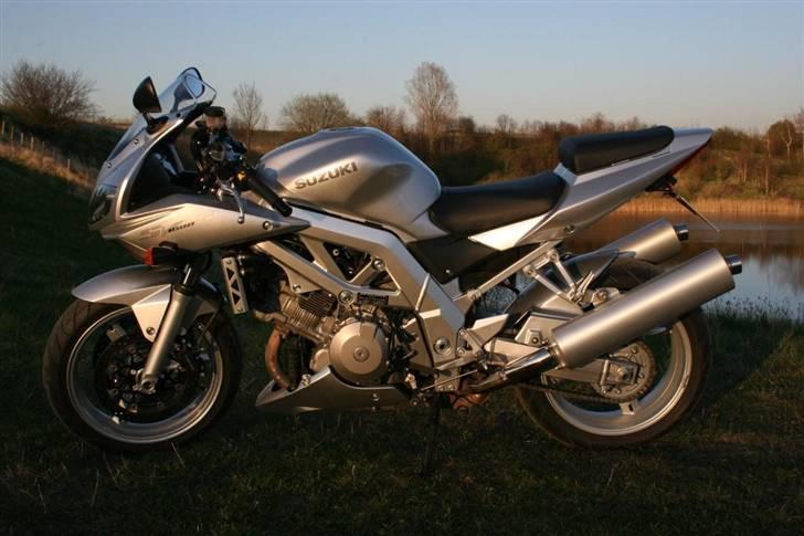 Suzuki SV1000S billede 4