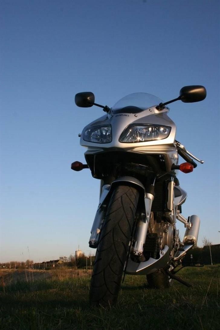 Suzuki SV1000S billede 5