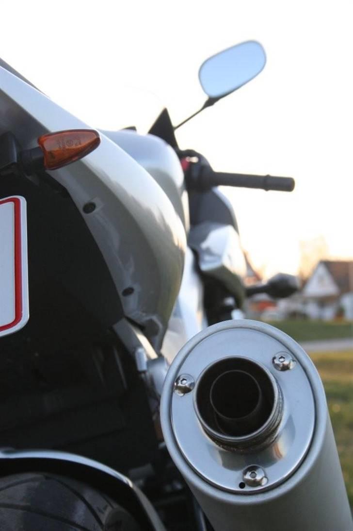 Suzuki SV1000S billede 6