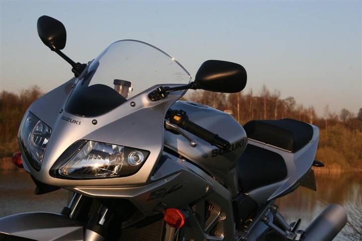 Suzuki SV1000S billede 7