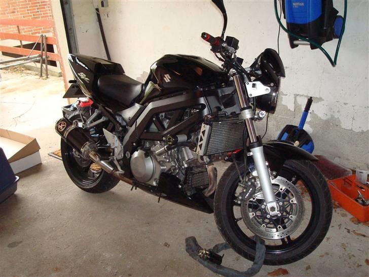 Suzuki sv1000 billede 5