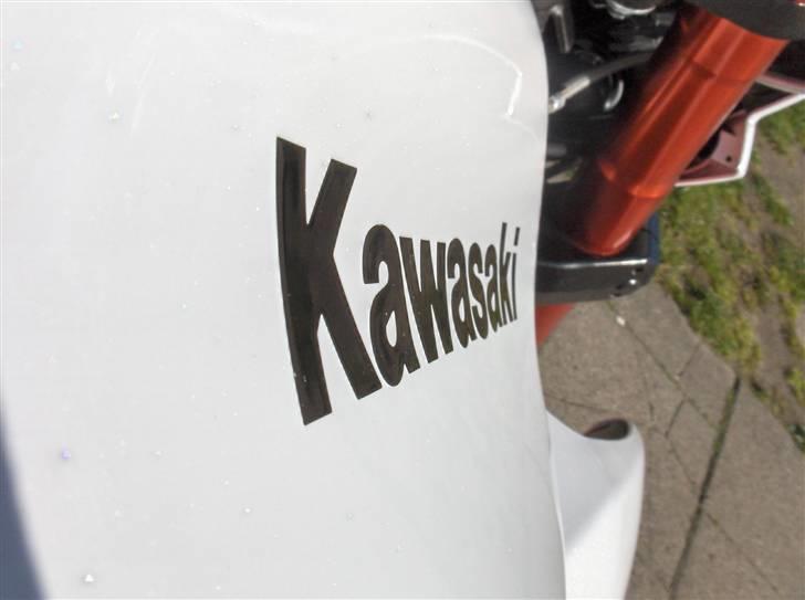 Kawasaki z1000 ABS billede 16