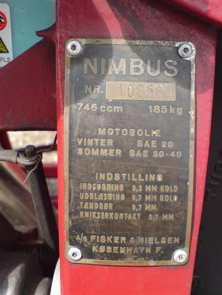 Nimbus humlebi billede 5