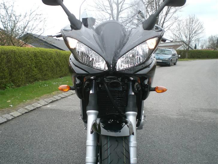 Yamaha FZ6-S billede 5