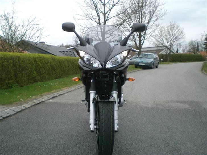 Yamaha FZ6-S billede 6
