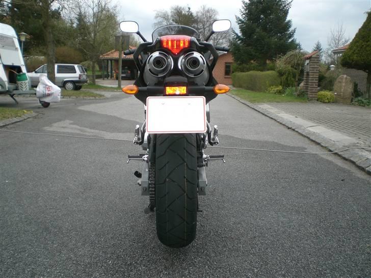 Yamaha FZ6-S billede 10