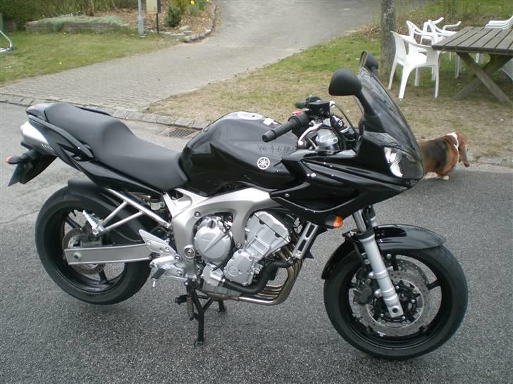 Yamaha FZ6-S billede 20