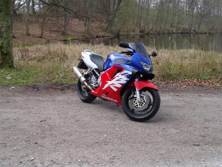 Honda CBR 600 F4 billede 5