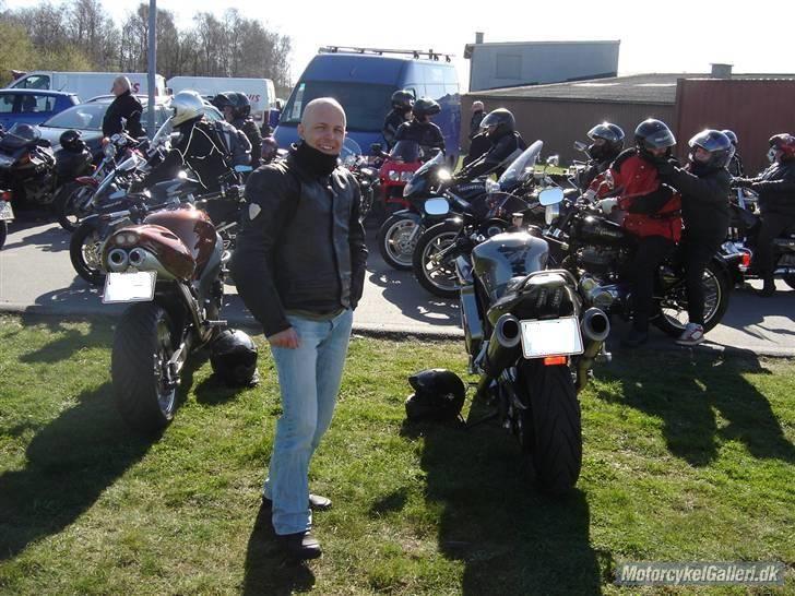 Suzuki SV 1000s billede 11