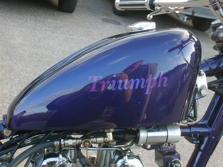 Triumph bonneville billede 7