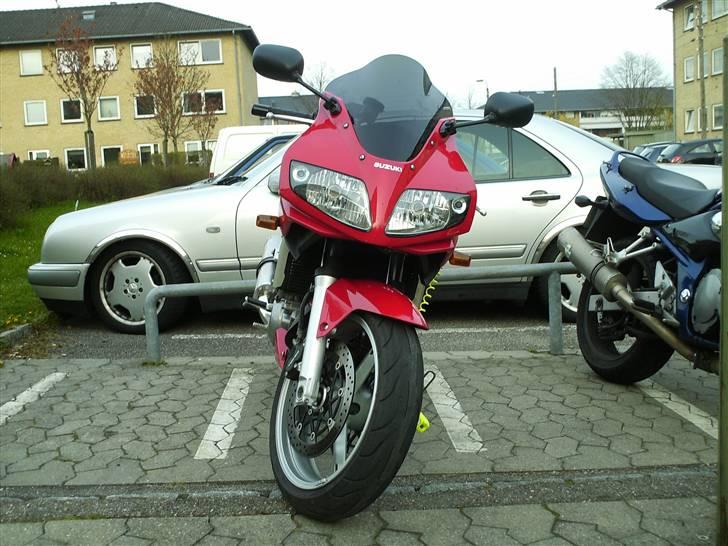 Suzuki SV 1000 S billede 2