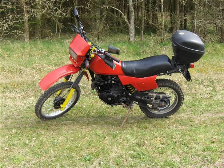 Honda XL500R aka geden billede 2