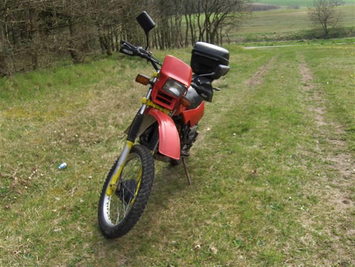 Honda XL500R aka geden billede 3