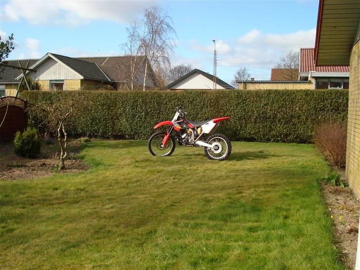 Gas Gas mc 250 TILSALG billede 1