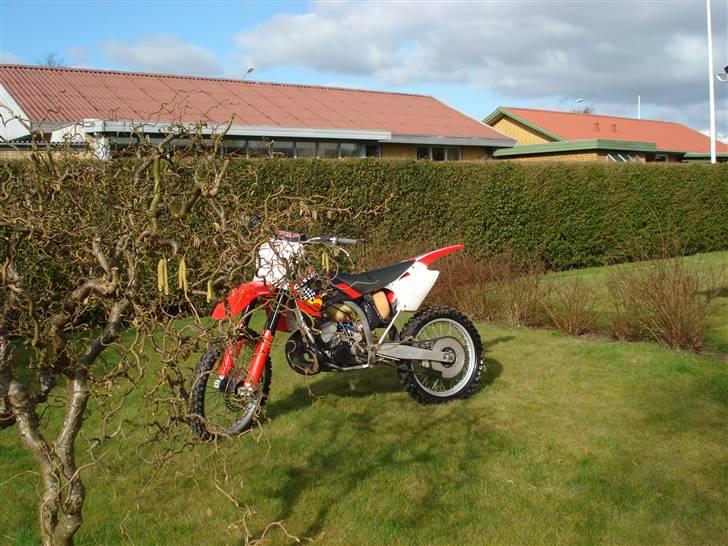 Gas Gas mc 250 TILSALG billede 2