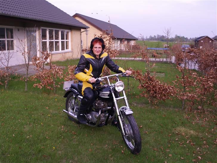 Triumph Tiger 100 billede 20