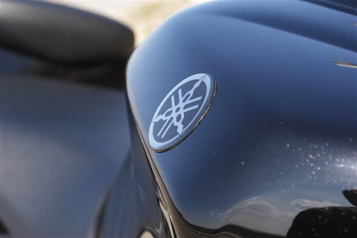 Yamaha YZF-R6 - Nibe havn, april 2008 billede 10