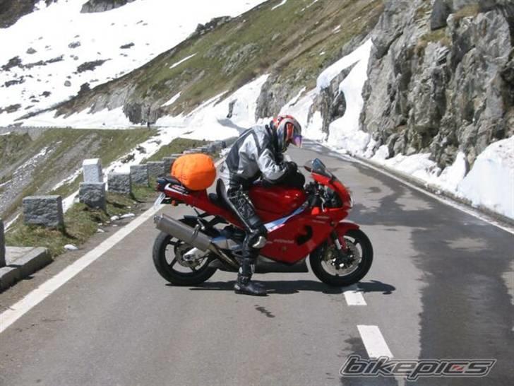 Aprilia RSV Mille billede 4