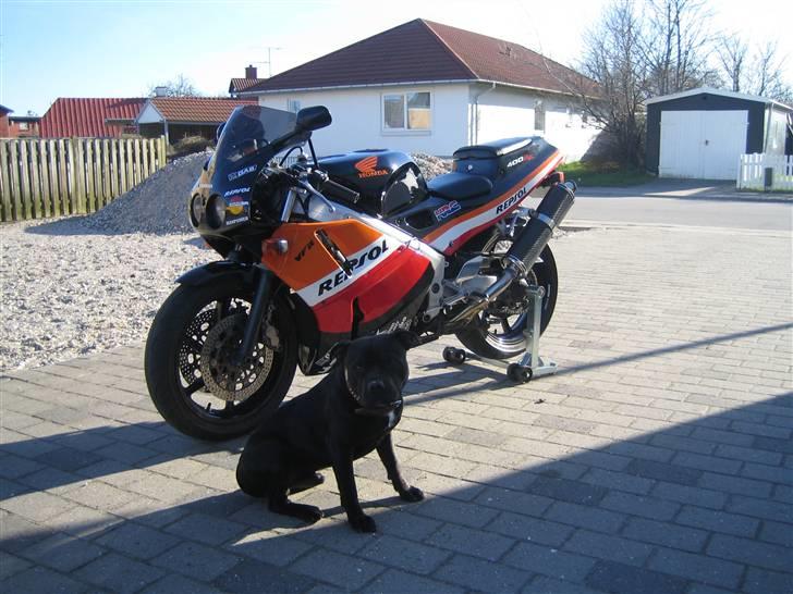 Honda VFR 400R NC 30 - Sammen med Franz billede 7