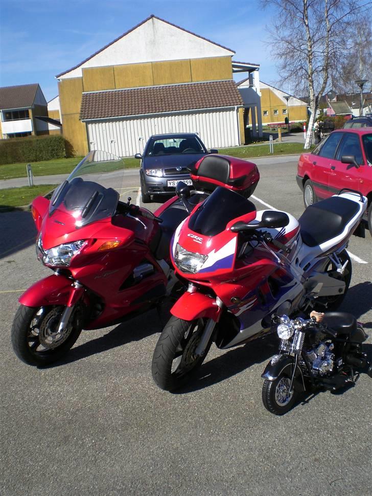 Honda cbr600 f3 - den gamles og min og min nevøs ude i det goe vejr he he  billede 11