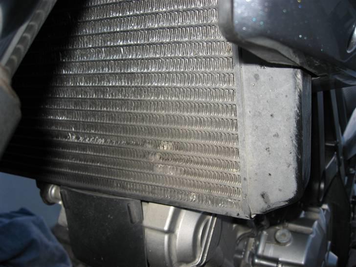 Suzuki DL 650A K7 V-Strom - Mindre skade efter møde med hare. Den ramte bremseskiven på venstre side og disintegrerede. Dens kranie ramte køleren med 110 kmt. billede 11