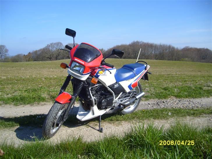 Honda MVX 250 F - (Solgt) billede 13