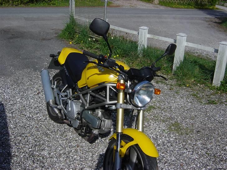 Ducati MONSTER billede 1