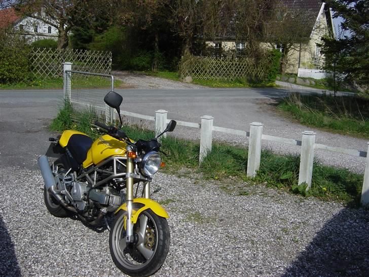 Ducati MONSTER billede 3