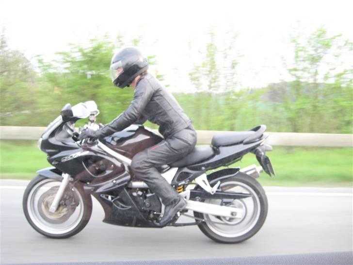 Suzuki sv 650S - Kæresten tager gode billeder fra bilen ved siden af.....lige inden han fik baghjul!!!!! he he billede 2