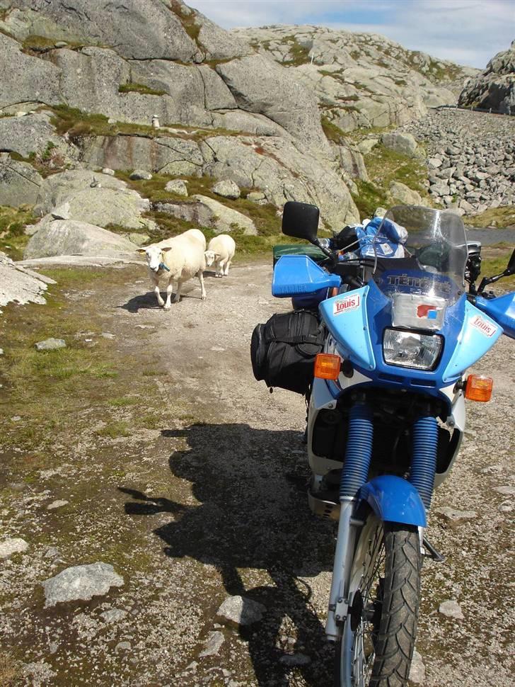 Yamaha XTZ 660 Teneré *SOLGT* billede 2