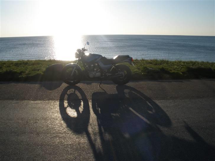 Suzuki GS 650 Katana billede 18