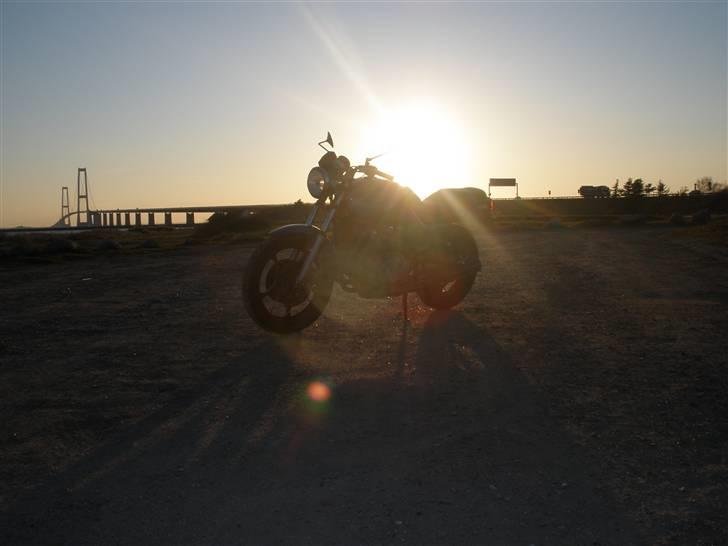 Suzuki GS 650 Katana billede 20