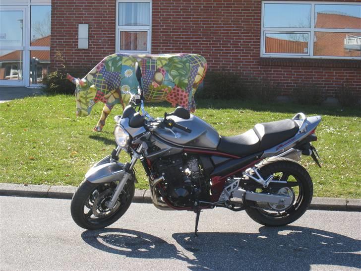 Suzuki GSF 650 AK6 Bandit billede 7