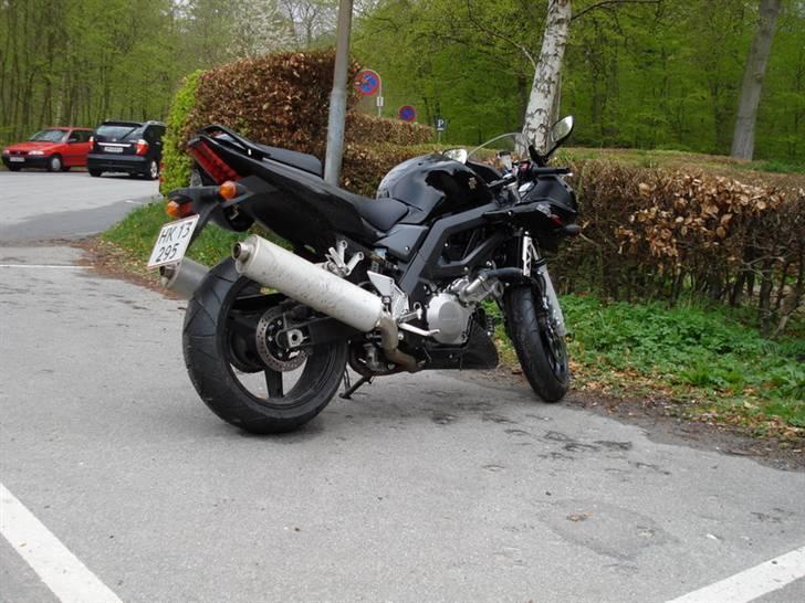 Suzuki SV1000S - Første rigtige køretur billede 1