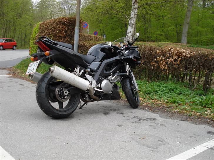 Suzuki SV1000S billede 2