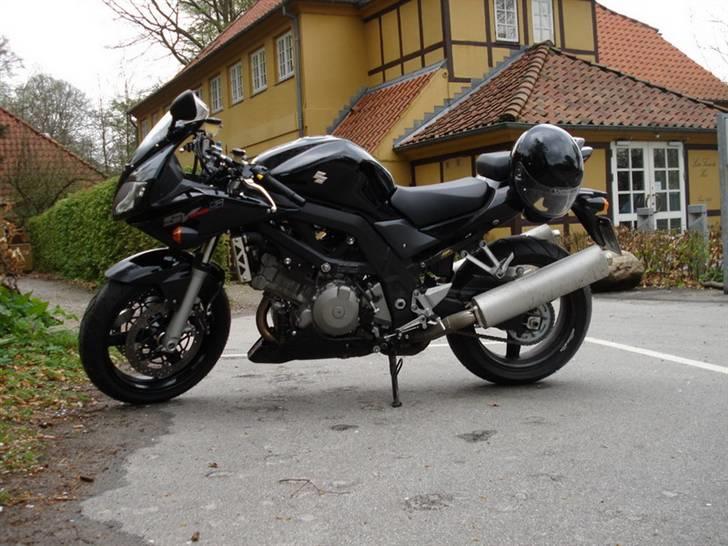Suzuki SV1000S billede 3