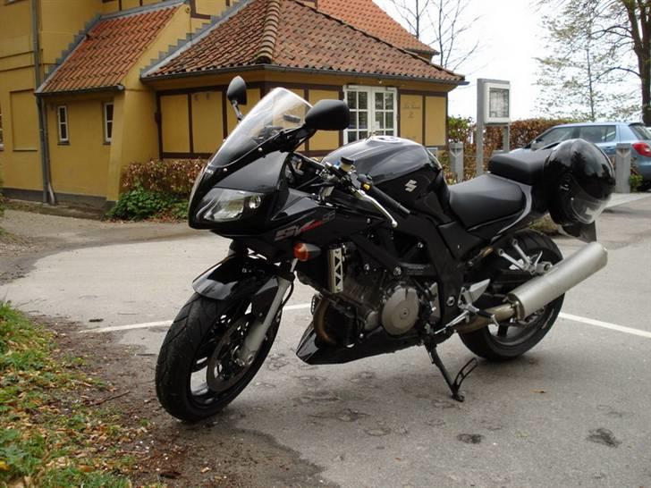 Suzuki SV1000S billede 7