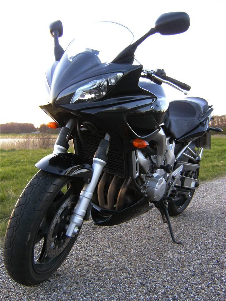 Yamaha FZ6s *Død * billede 12