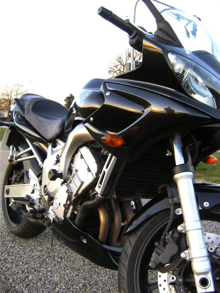 Yamaha FZ6s *Død * billede 13