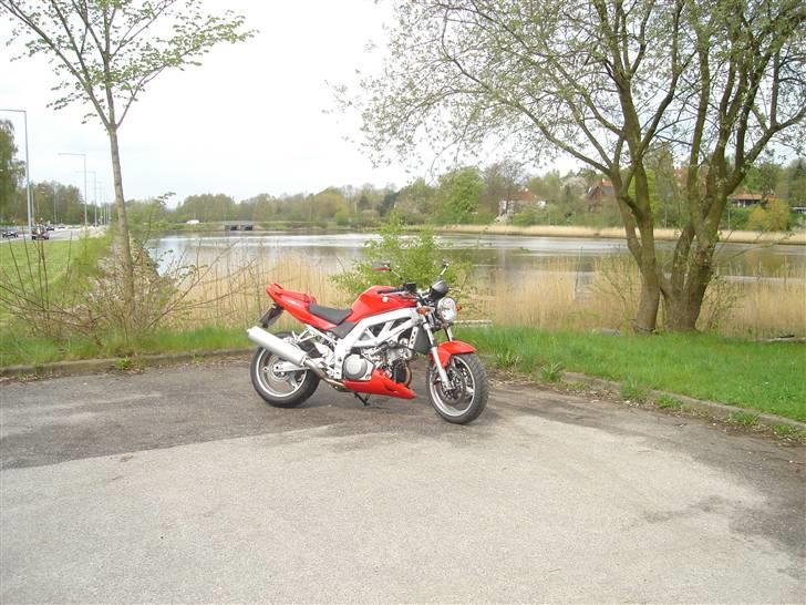 Suzuki SV 1000 N K7 **SOLGT** billede 18