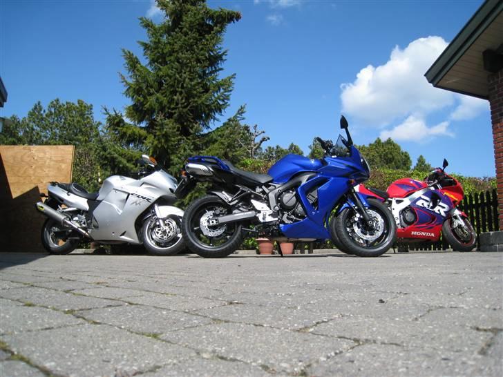 Yamaha FZ6S ( Kone-cykel ) SOLGT - Min Blackbird, konens FZ6s og knægtens Fireblade. billede 8