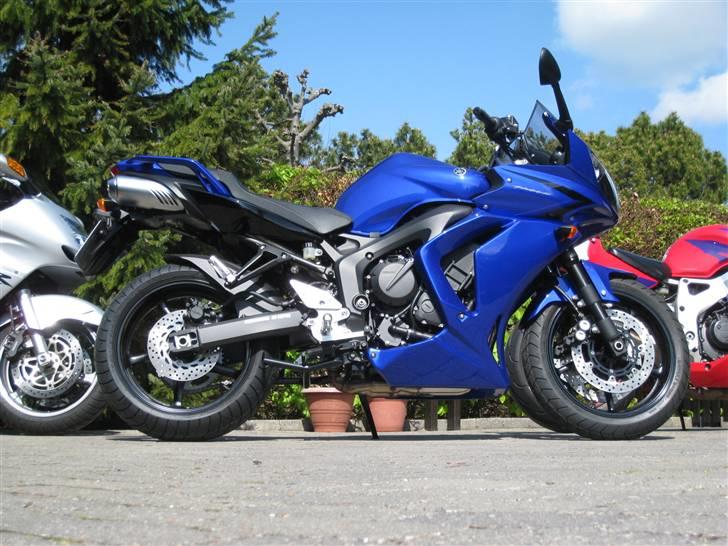 Yamaha FZ6S ( Kone-cykel ) SOLGT - Min Blackbird, konens FZ6s og knægtens Fireblade. billede 9